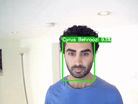 ../_images/face_recognition_demo.gif